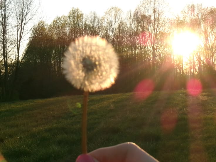 Lost My Spark
